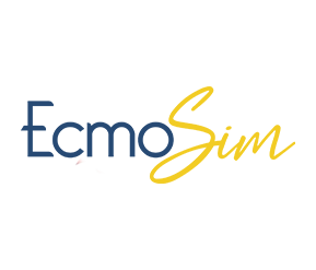 ECMO SIM $3,700.00