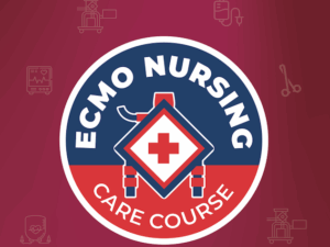 Captura de pantalla 2025-09-07 a la(s) 9.32.08 p.m.